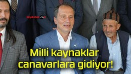 Milli kaynaklar canavarlara gidiyor!