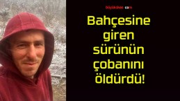 Bahçesine giren sürünün çobanını öldürdü!