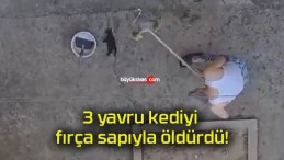 3 yavru kediyi fırça sapıyla öldürdü!