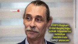 CHP’li Başkan Erdal Beşikçioğlu sokak köpeklerini belediye tesislerinde bekçi yapacak!