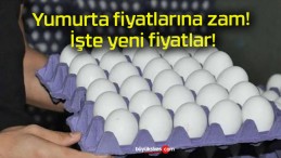 Yumurta fiyatlarına zam! İşte yeni fiyatlar!