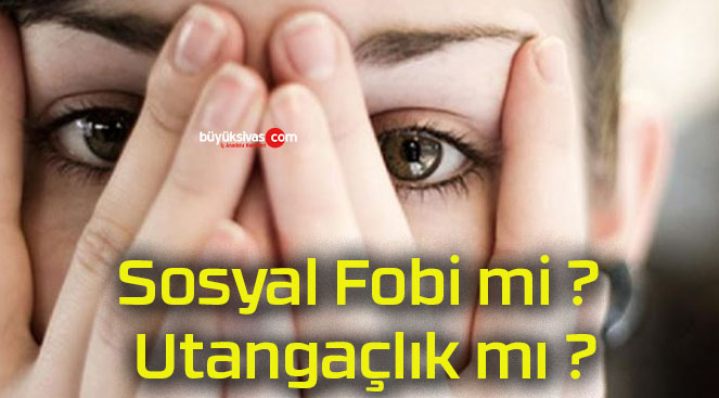 Sosyal Fobi mi ? Utangaçlık mı ?