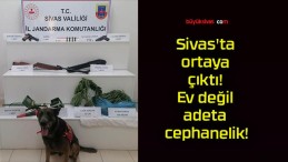 Sivas’ta ortaya çıktı! Ev değil adeta cephanelik!