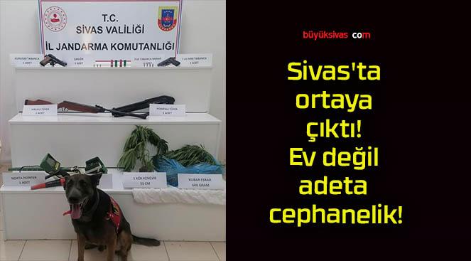 Sivas’ta ortaya çıktı! Ev değil adeta cephanelik!