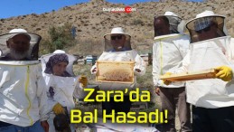 Zara’da Bal Hasadı!