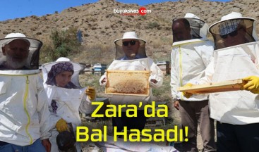 Zara’da Bal Hasadı!