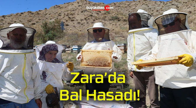 Zara’da Bal Hasadı!