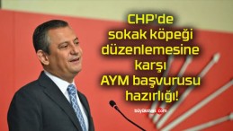 CHP’de sokak köpeği düzenlemesine karşı AYM başvurusu hazırlığı!