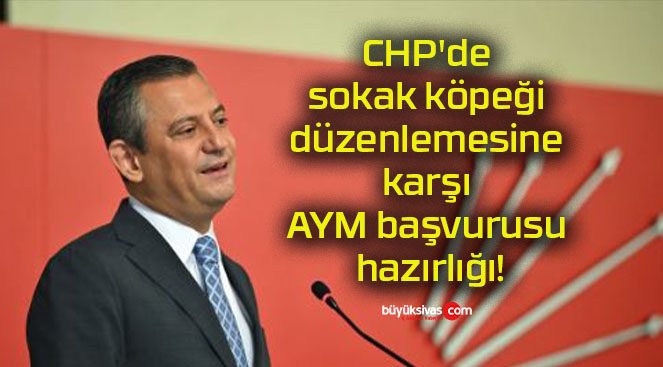 CHP’de sokak köpeği düzenlemesine karşı AYM başvurusu hazırlığı!