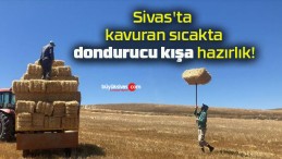 Sivas’ta kavuran sıcakta dondurucu kışa hazırlık!