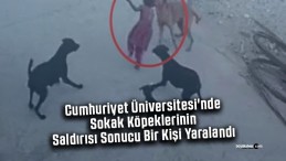 Cumhuriyet Üniversitesi’nde Sokak Köpeklerinin Saldırısı Sonucu Bir Kişi Yaralandı