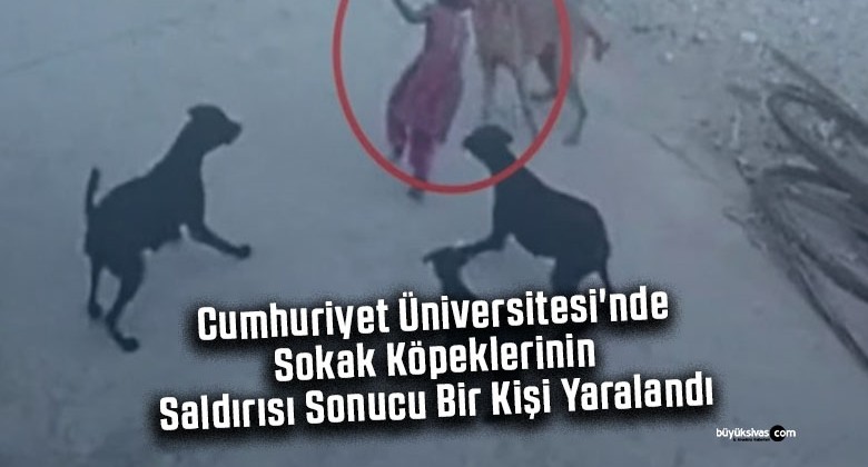 Cumhuriyet Üniversitesi’nde Sokak Köpeklerinin Saldırısı Sonucu Bir Kişi Yaralandı