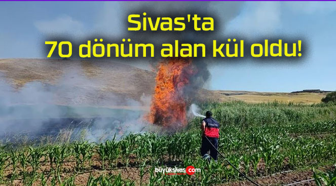 Sivas’ta 70 dönüm alan kül oldu!