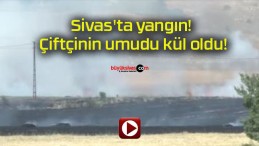 Sivas’ta yangın! Çiftçinin umudu kül oldu!