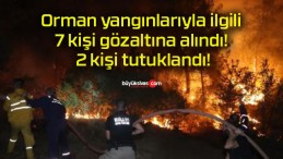 Orman yangınlarıyla ilgili 7 kişi gözaltına alındı! 2 kişi tutuklandı!