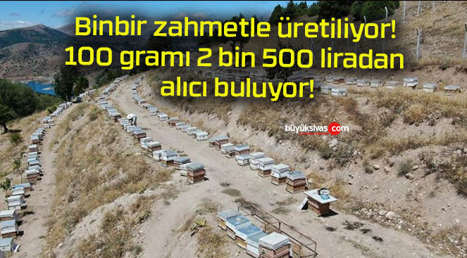 Binbir zahmetle üretiliyor! 100 gramı 2 bin 500 liradan alıcı buluyor!