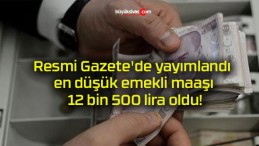 Resmi Gazete’de yayımlandı en düşük emekli maaşı 12 bin 500 lira oldu!