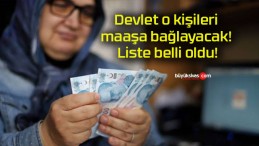 Devlet o kişileri maaşa bağlayacak! Liste belli oldu!