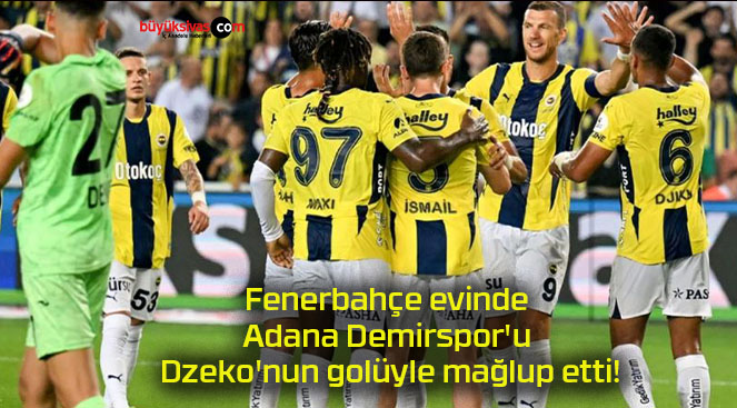 Fenerbahçe evinde Adana Demirspor’u Dzeko’nun golüyle mağlup etti!