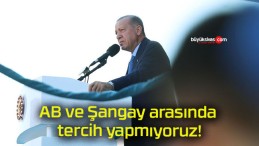 AB ve Şangay arasında tercih yapmıyoruz!