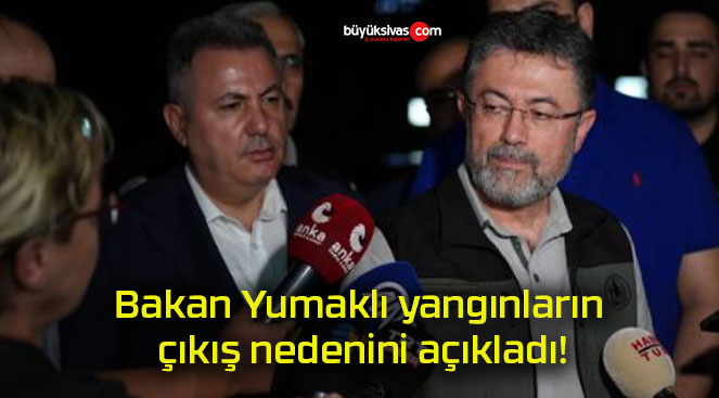 Bakan Yumaklı yangınların çıkış nedenini açıkladı!