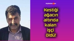 Kestiği ağacın altında kalan işçi öldü!