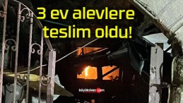 3 ev alevlere teslim oldu!