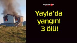 Yayla’da yangın! 3 ölü!