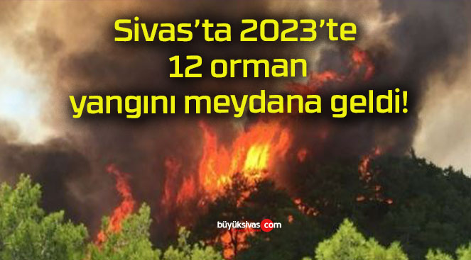 Sivas’ta 2023’te 12 orman yangını meydana geldi!