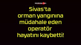 Sivas’ta orman yangınına müdahale eden operatör hayatını kaybetti!