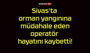 Sivas’ta orman yangınına müdahale eden operatör hayatını kaybetti!