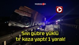 Sıvı gübre yüklü tır kaza yaptı! 1 yaralı!