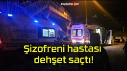 Şizofreni hastası dehşet saçtı!