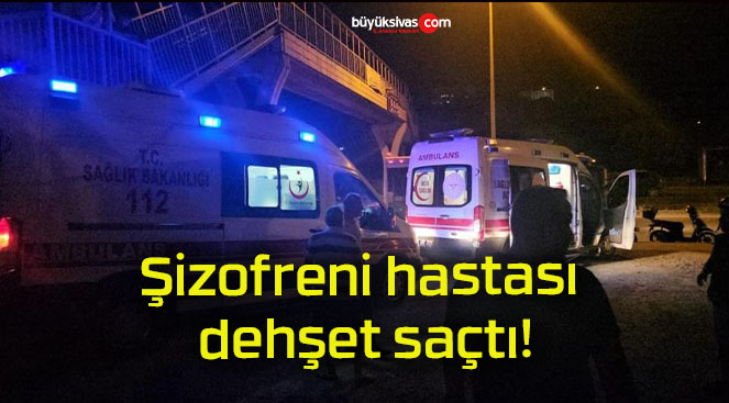 Şizofreni hastası dehşet saçtı!