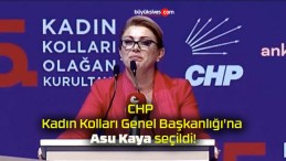 CHP Kadın Kolları Genel Başkanlığı’na Asu Kaya seçildi!