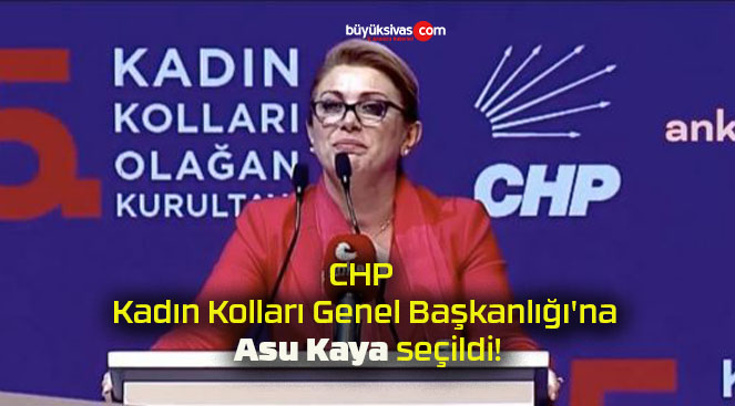 CHP Kadın Kolları Genel Başkanlığı’na Asu Kaya seçildi!