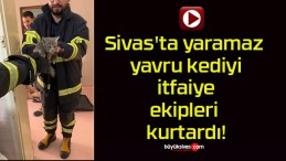 Sivas’ta yaramaz yavru kediyi itfaiye ekipleri kurtardı!