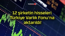 12 şirketin hisseleri Türkiye Varlık Fonu’na aktarıldı!