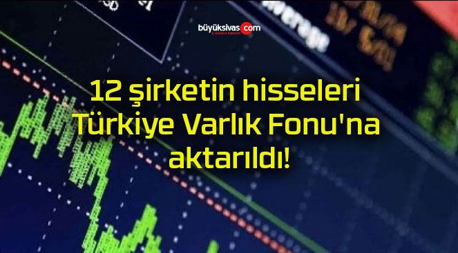 12 şirketin hisseleri Türkiye Varlık Fonu’na aktarıldı!