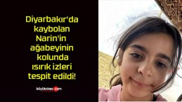 Diyarbakır’da kaybolan Narin’in ağabeyinin kolunda ısırık izleri tespit edildi!