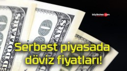 Serbest piyasada döviz fiyatları!