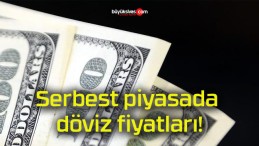 Serbest piyasada döviz fiyatları!