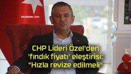 CHP Lideri Özel’den ‘fındık fiyatı’ eleştirisi: “Hızla revize edilmeli”