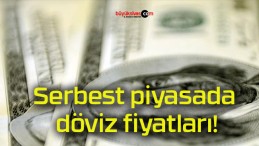 Serbest piyasada döviz fiyatları!