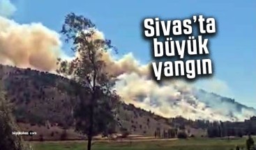 Sivas’ta büyük yangın… Orman kül oldu