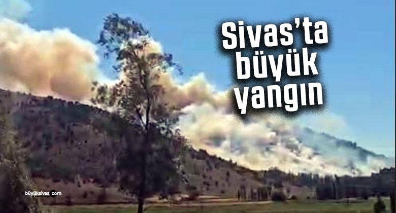 Sivas’ta büyük yangın… Orman kül oldu