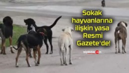 Sokak hayvanlarına ilişkin yasa Resmi Gazete’de!