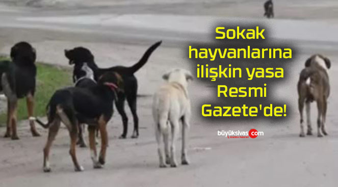 Sokak hayvanlarına ilişkin yasa Resmi Gazete’de!