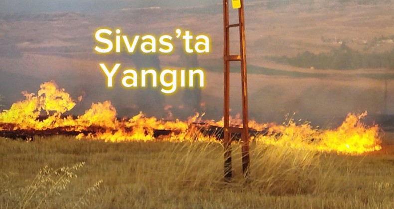 Sivas’ta yangın…