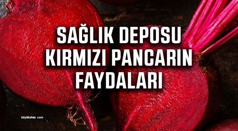 Sağlık Deposu Kırmızı Pancarın Faydaları